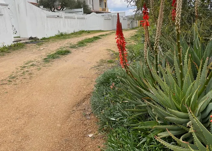 Apartment Conca Santa Teresa Gallura